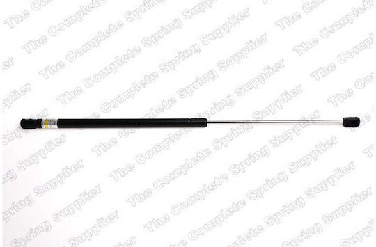 Lesjofors Trunk Shock