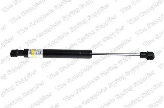 Lesjofors Trunk Shock