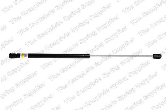 Lesjofors Trunk Shock