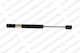 Lesjofors Trunk Shock
