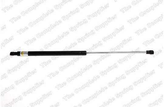 Lesjofors Trunk Shock