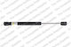 Lesjofors Trunk Shock