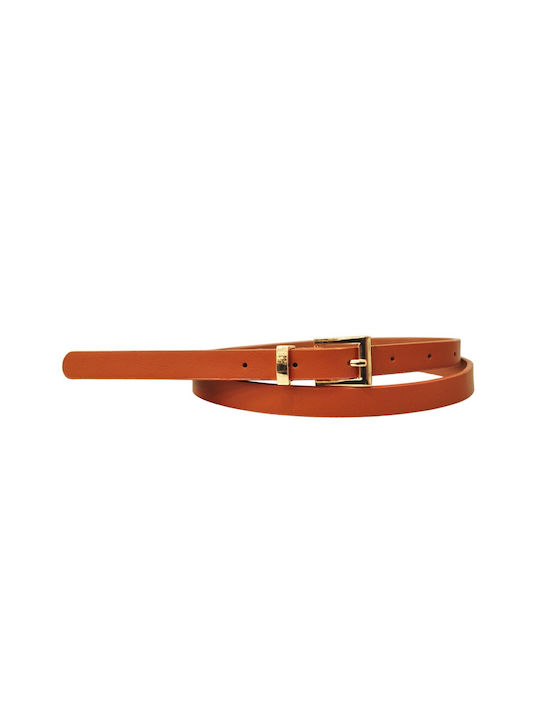 FantazyStores Women's Belt Brown