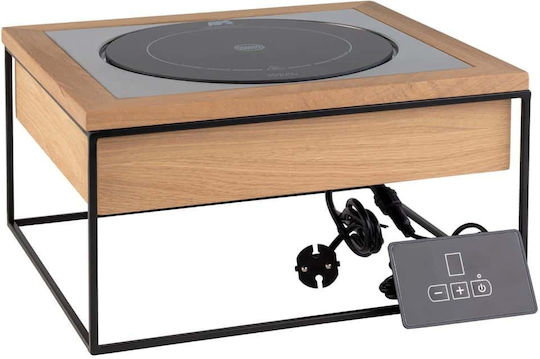 APS Electric Cooktop Inductive 0.9kW G/N 2/3
