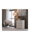 Malwa M3 Kashmir Chest Drawers