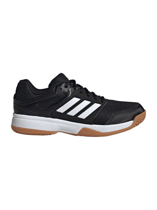 adidas Speedcourt Sport Shoes Volleyball Black