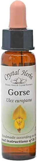Crystal Herbs Σχοίνος (gorse) Ανθοΐαμα 10ml 1τμχ