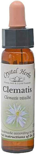 Crystal Herbs Κληματίδα (clematis) Esență Florală 10ml 1buc
