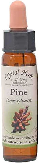 Crystal Herbs Πεύκο (pine) Flower Essence 10ml 1pcs