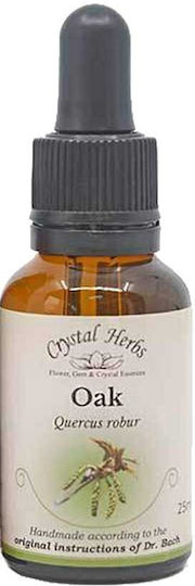 Crystal Herbs Βελανιδιά (oak) Ανθοΐαμα 25ml 1τμχ