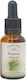 Crystal Herbs Καρυδιά (walnut) Esență Florală 25ml 1buc