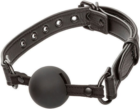 Calexotics Φίμωτρο σε Μαύρο Χρώμα