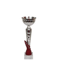 Tryumf Silver Trophy Sports