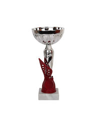 Tryumf Silver Trophy Sports