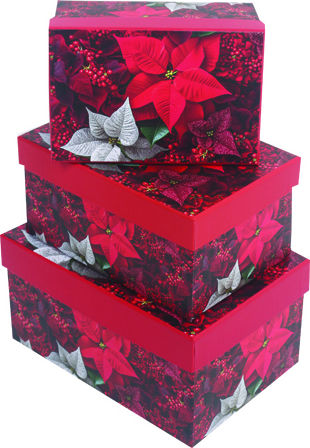 AGC Christmas Figure Box Height 22cm