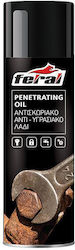 Auto Gs Αντισκωριακό Σπρέι 500ml 18511