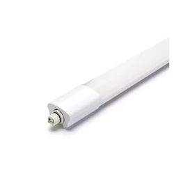 Aigostar Σκαφάκι με Ενσωματωμένο LED