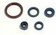 Athena Motordichtsatz P400220400255 Husqvarna Te 510 04-07 450 03-07 Kit