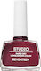 Seventeen Studio Rapid Dry Lasting Glossy Long Lasting Nail Polish Quick Dry Burgundy 261 12ml