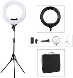 Tolifo R-48BK Ring Light with Tripod