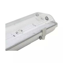 Aigostar Σκαφάκι με Ενσωματωμένο LED