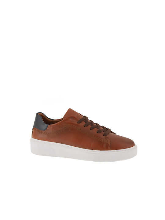 Gale Anatomical Sneakers Tampa