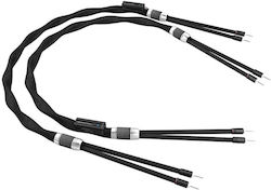 Esprit Eureka Speaker Cable 3m