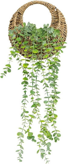 Eucalyptus Zea Ευκάλυπτος σε Γλαστράκι 26cm Atmosphera