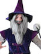 Wizard Beard Wig Grey