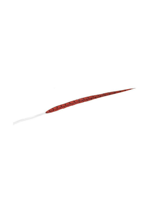 Espiel Decorative Feather Red 70cm