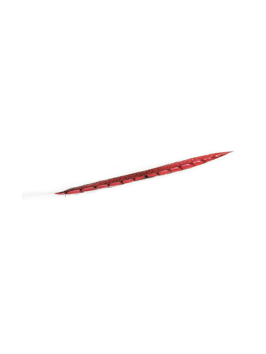 Espiel Decorative Feather Red 55cm 12pcs