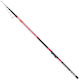 Baracuda Καλάμι Ψαρέματος για Bolognese / Carp Fishing 6m 312gr