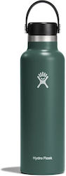 Hydro Flask Standard Mouth Thermos Bottle Stain...