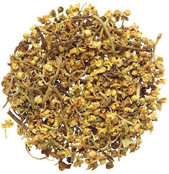 Elderberry Flower of America 200 Gr