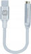Swissten Konverter USB-C männlich zu 3.5mm weiblich Silber 1Stück