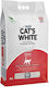 Cat's White Bentonite Cat Litter 10lt