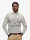 Superdry Sweatshirt Gray