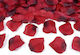 PartyDeco Rosenblätter für Party mit Thema "Ehe" PLRD100-007B