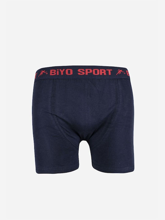 Biyo Biyo