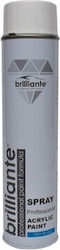 Brilliante Vopsea Spray Alb RAL 9003 600ml Brilliante Vopsea Spray Alb RAL 9003 600ml