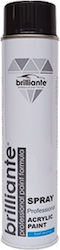 Brilliante Vopsea Spray Neagră RAL 9005 600ml