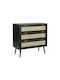 Berwyn 149 Wooden & Metallic Chest of Drawer Beige, Black 80x40x80cm