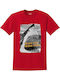 Short Sleeve Wish You Were Here Red