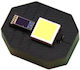 Flachkabel LED Samsung G996b Galaxy S21 Plus 5G Original