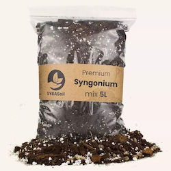 Syngonium Premium-Mix 5 l