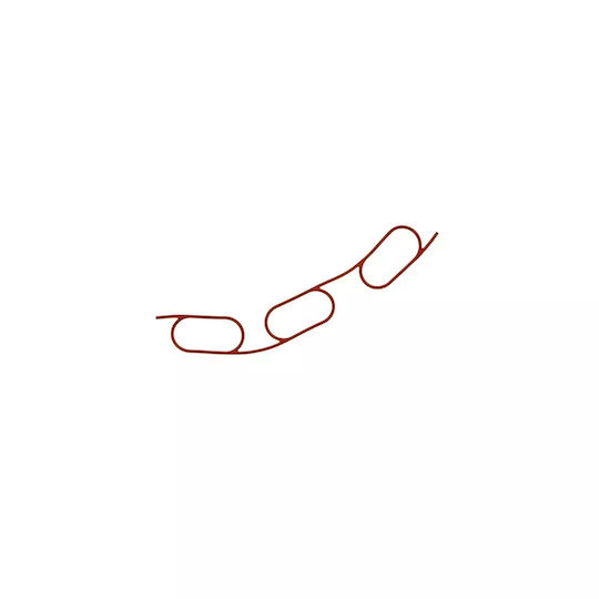 Garnitură galerie admisie Bmw 3 Cabriolet E36 323 I 1995-1999 Corteco 450569h