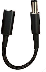 Converter 7.4*5.0 Hp 5a 100w Max Type C Female