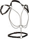 Calexotics Harness Πολύχρωμο