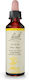 Power Health Gorse Esență Florală în Picături 20ml