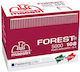 Romeo Maestri 01-026 Nails